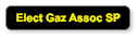 Elect Gaz Assoc SP